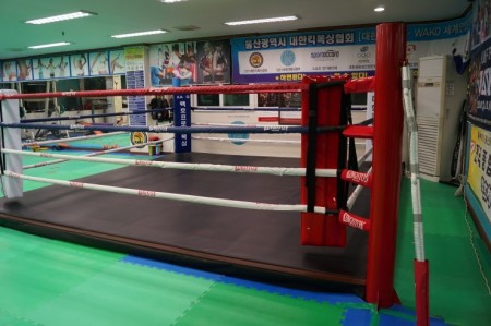체육관 링